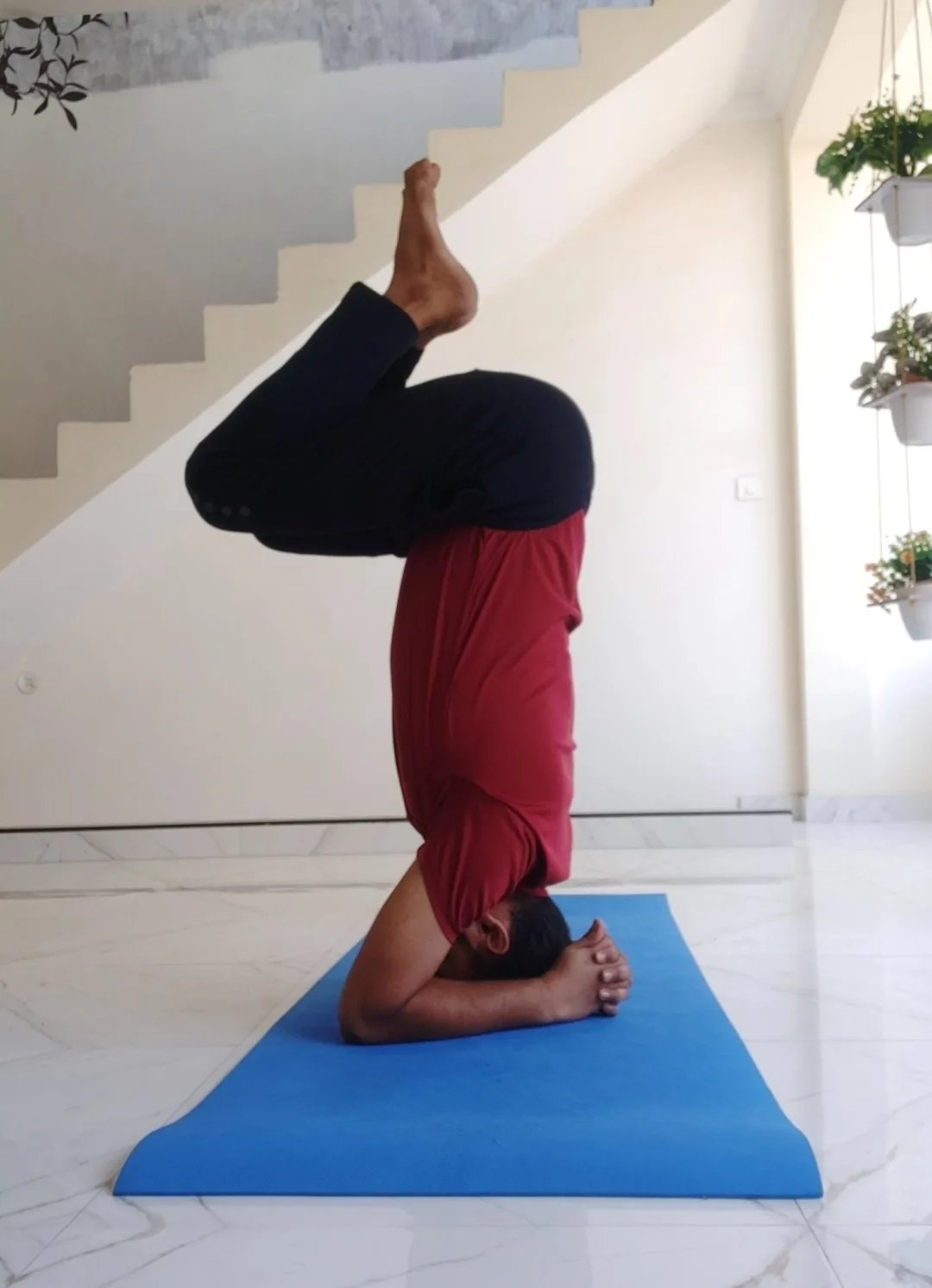 Yogvinyas-Best Online Yoga Studio — Yoga in Armapur, Kanpur