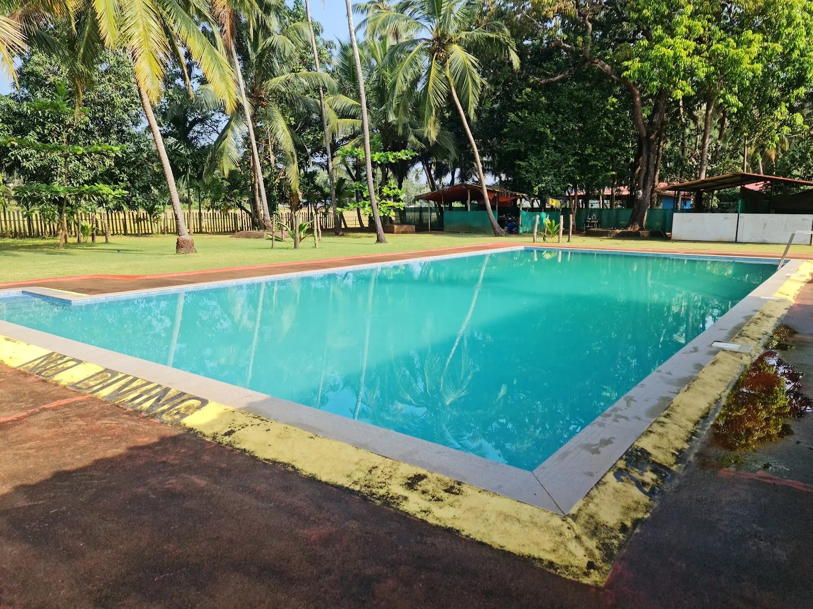 Mont’s splash — Swimming in Mercurim, Goa