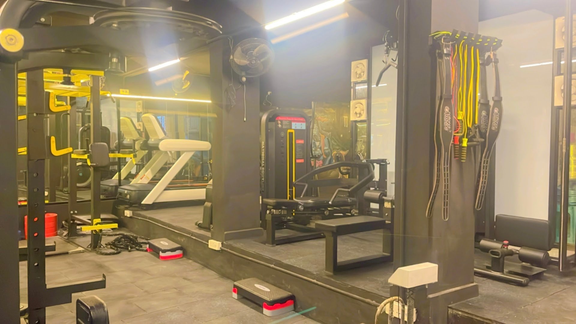 Craving The Gym — Standard Gym in Vasant Vihar, Delhi