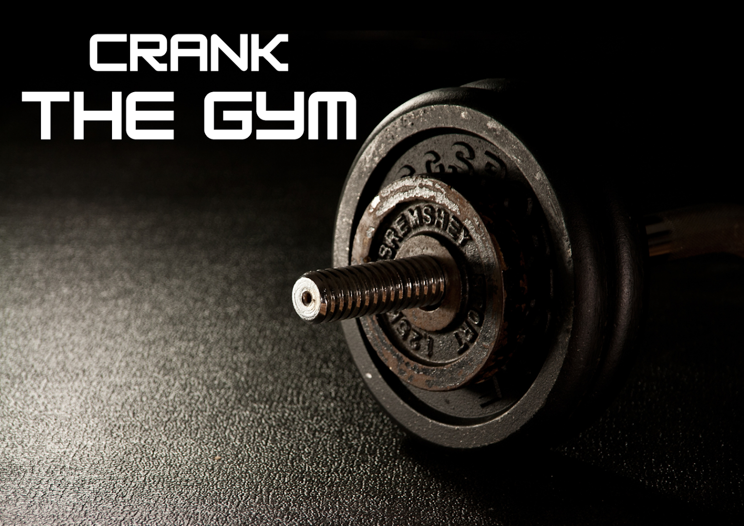 Crank The Gym Dhunela — Standard Gym in Sohna Road, Gurugram