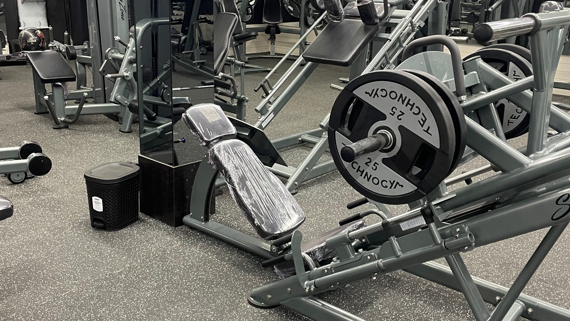 Seven Zone Fitness Destination — Standard Gym in Tilak Nagar, Delhi