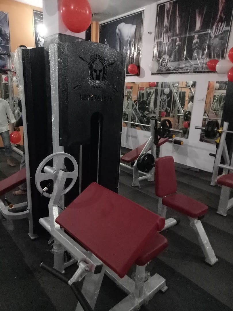 Aesthetic Spartan Gym — Boxing & Combat Fitness in Ballabgarh, Faridabad