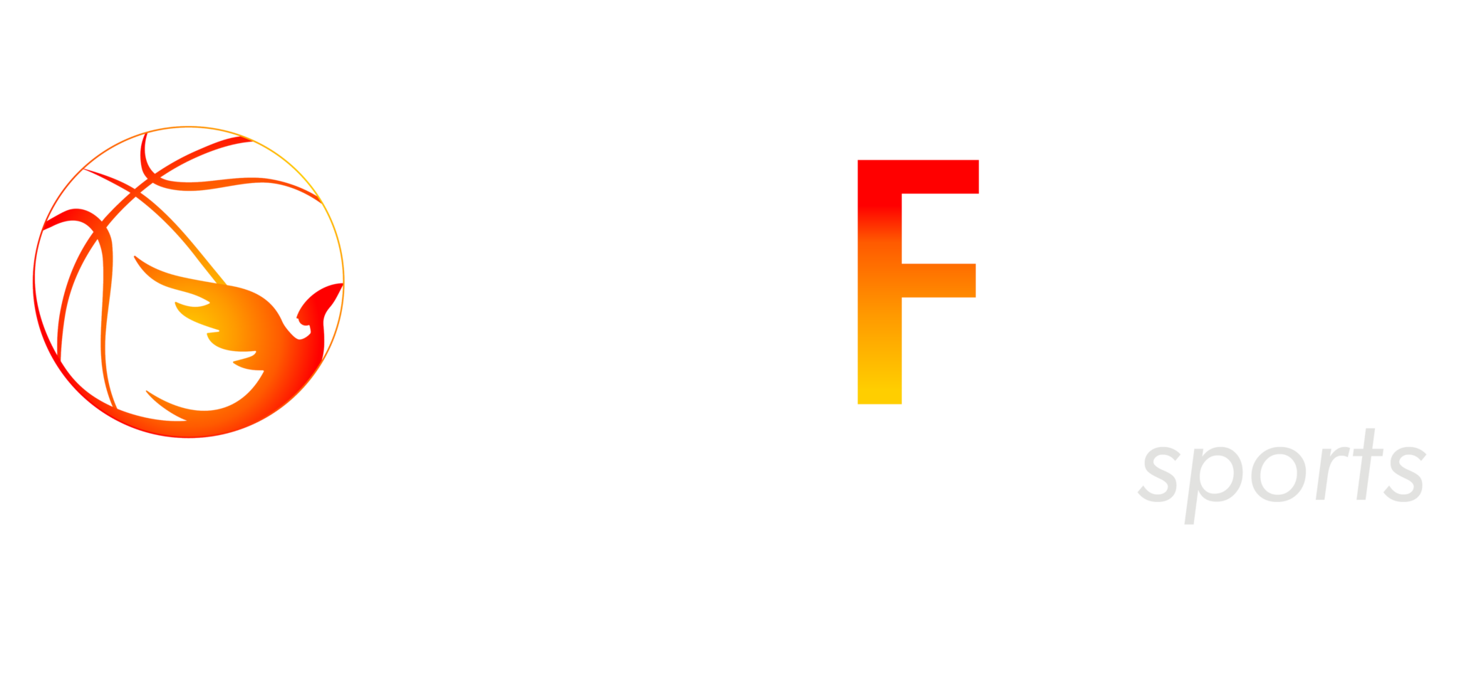 Insfire sports — Basketball in Golf Course Extension, Gurugram