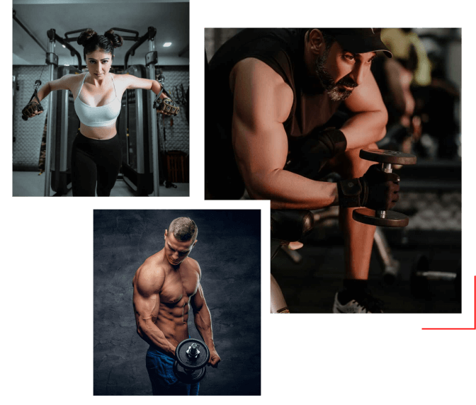 Anatomy Lifestyle Fitness — Premium in Hauz Khas, Delhi