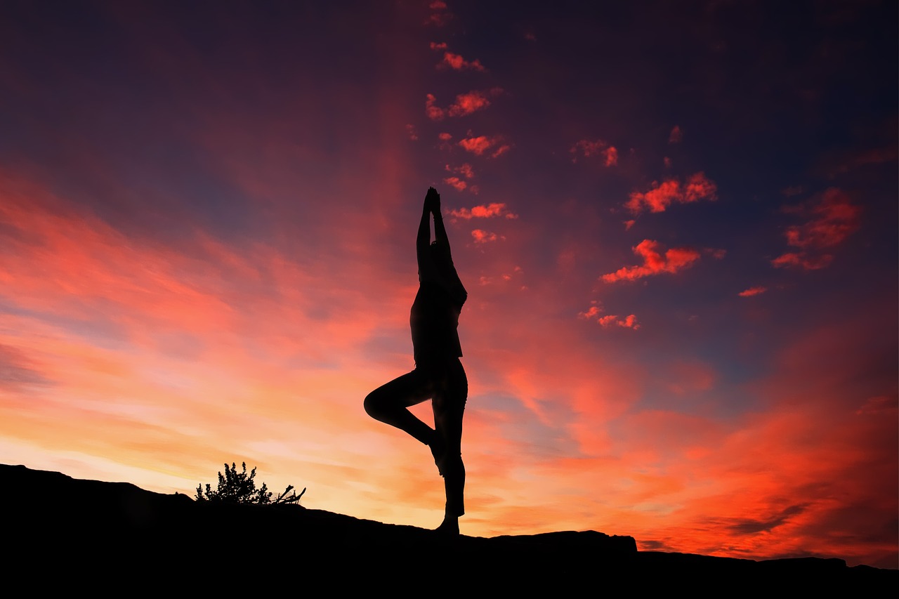Trinetra Yoga — Yoga in Padmanabhanagar, Bengaluru