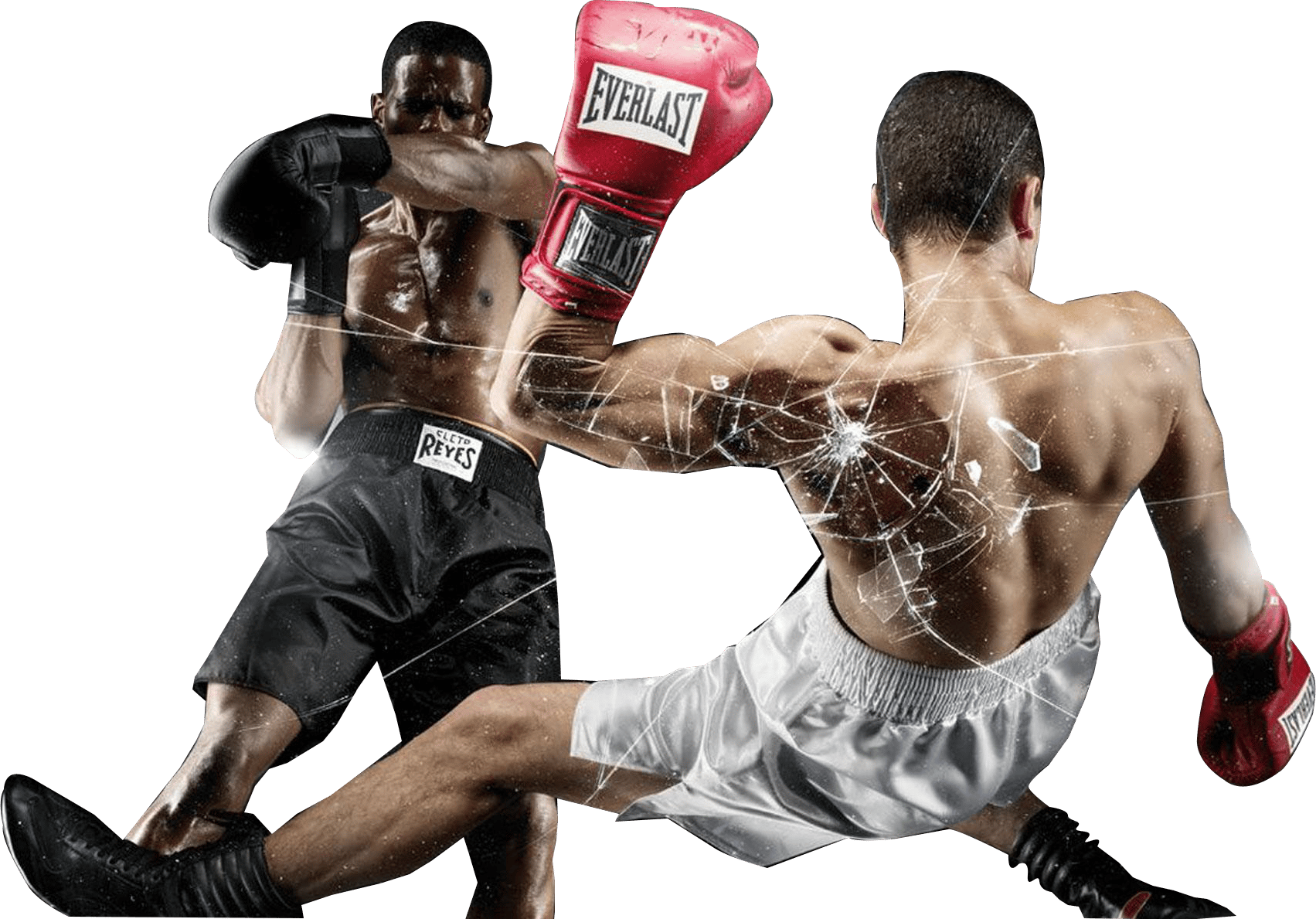 Combat MMA Club — Martial Arts in Laxmi Nagar, Delhi