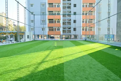 VJ Box Cricket — Cricket in Langar House