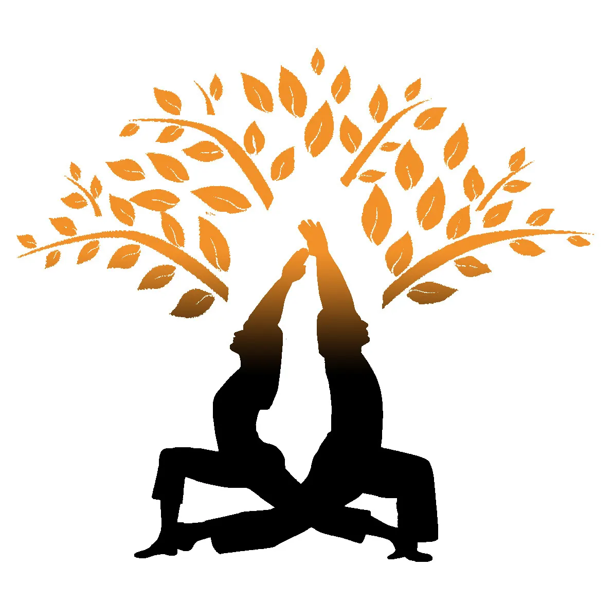 Yoko Yoga Studio — Yoga in Palolem, Goa