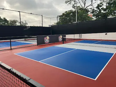 Pro-Touch Pickleball Arena Shaikpet — Pickleball in Shaikpet, Hyderabad