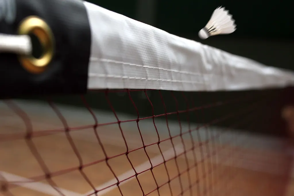 FIREBALL FITNESS CLUB — Badminton in Anna Nagar West Extension