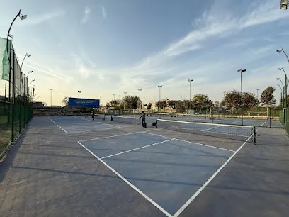 Pickleblitz Arena