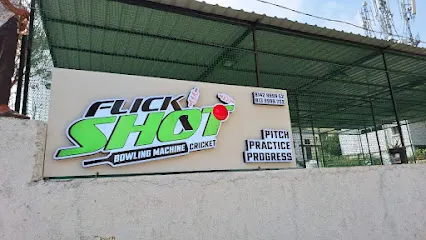 FlickShot Cricket photo 1