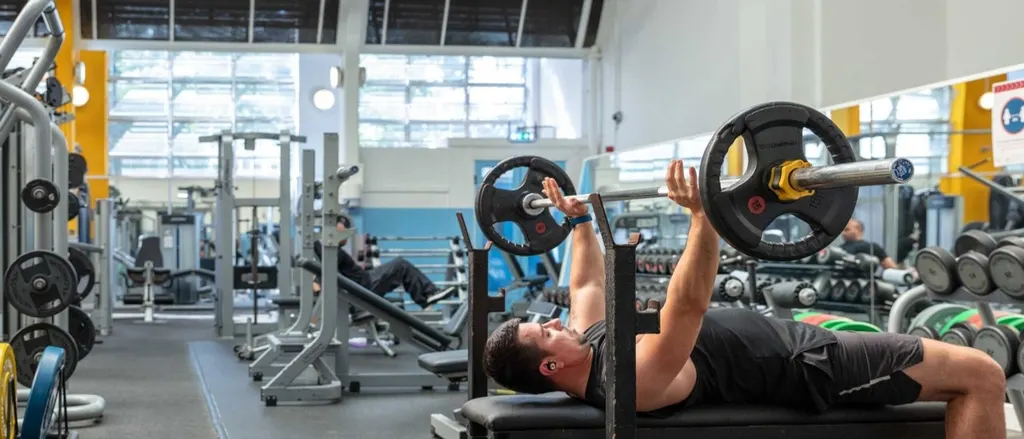 The Metal Gym — Standard Gym in Amer
