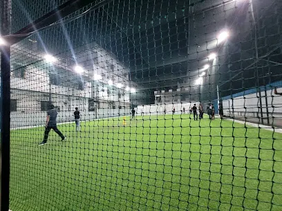 M S cricket box — Cricket in Gachibowli, Hyderabad