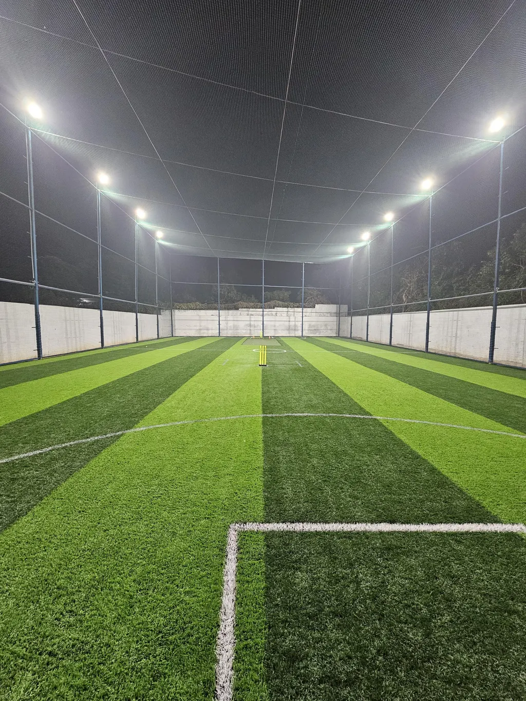 FreeHit Arena — Cricket in Sadhrana Bamripur