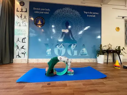 Wellness Fit & Yoga Studio — Other Sports in Padmanabhanagar