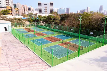 Top Swing — Pickleball in Gowlidoddy