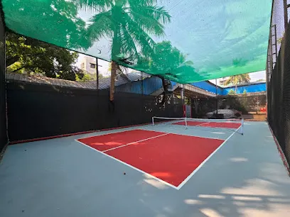 PaddleWhizz pickleball photo 1