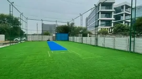 Cric & Pick — Cricket in Sector 62
