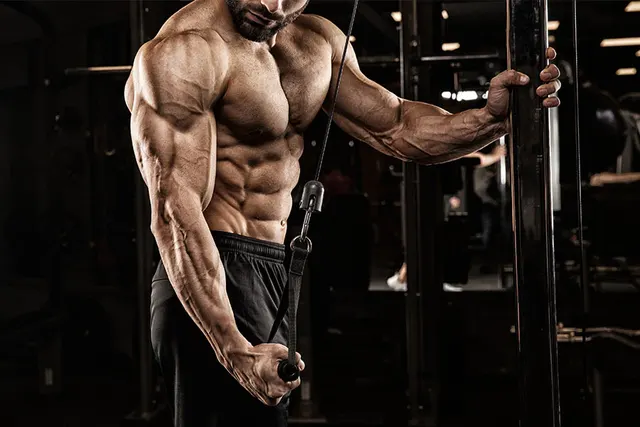 ARHA FITNESS 24/7 GYM