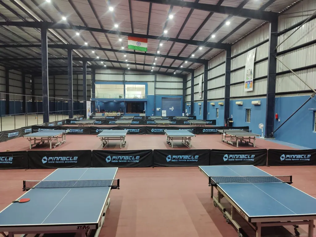 Pinnacle Table tennis Academy — Pool and Table Games in Golf Course Extension