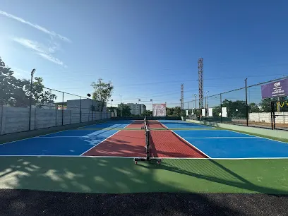 AR's HASHTAG PICKLE BALL