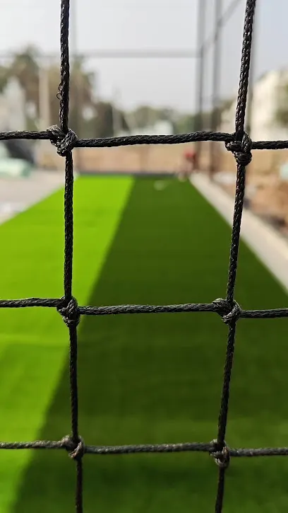Aatadamane Sports Hub — Football in Arasinakunte