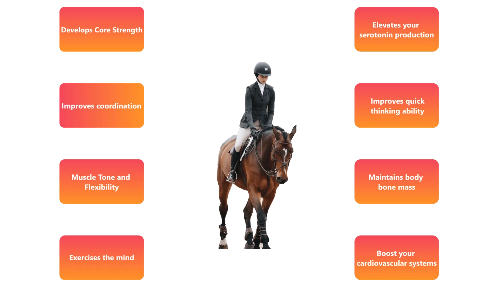 Walk and Trot photo 1