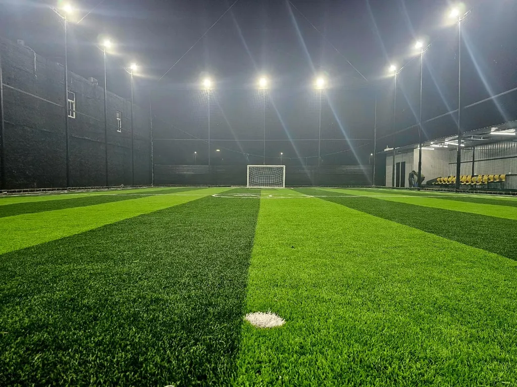AstroLawn — Cricket in Aimnabad