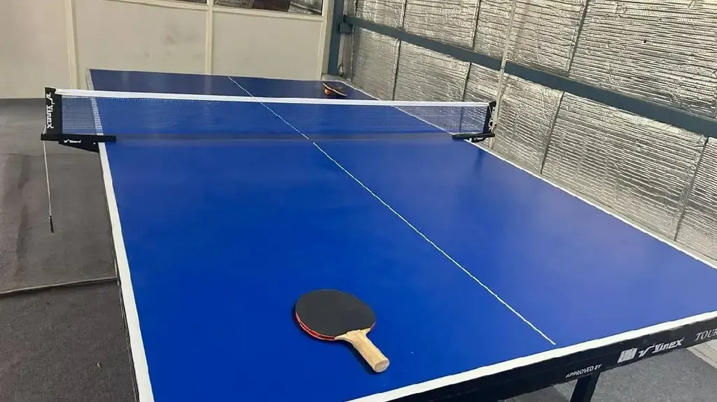 North Star Sports Academy — Badminton in Sector 78