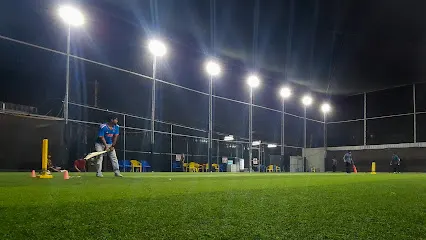 Pickle and Crick — Cricket in Madhapur, Hyderabad