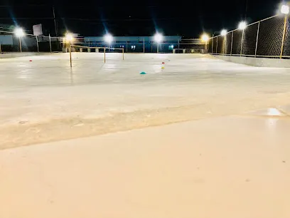Professional Roller Skating Academy (PRSA)