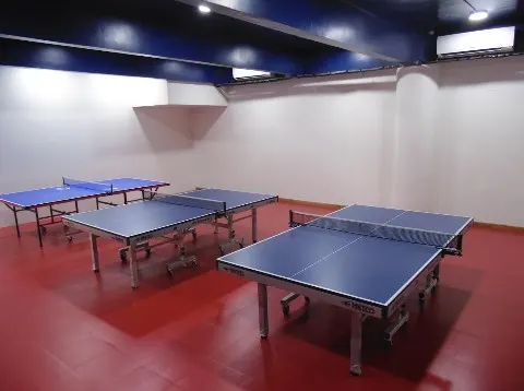 Vibrant Table Tennis Academy — Table Tennis in Camp, Pune