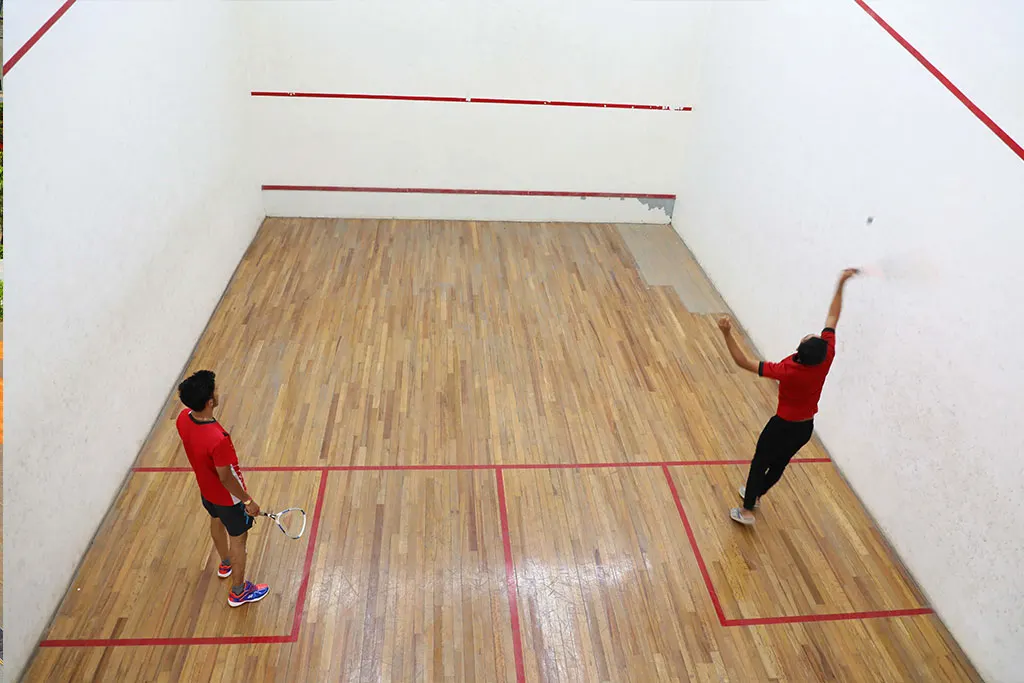 Ramsheth Thakur International Sports Complex — Pickleball in Ulwe
