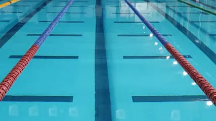 Bright Swimming Academy | Gurgaon — Swimming in Sector 48, Gurugram