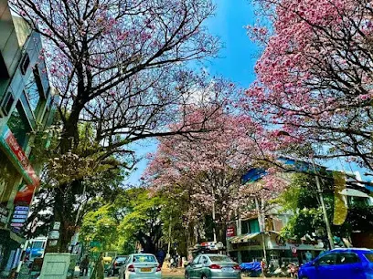 Jayanagar — Other Sports in Jayanagar, Bengaluru