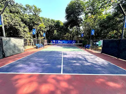Proplay Sports Arena | — Pickleball in Thane West, Thane