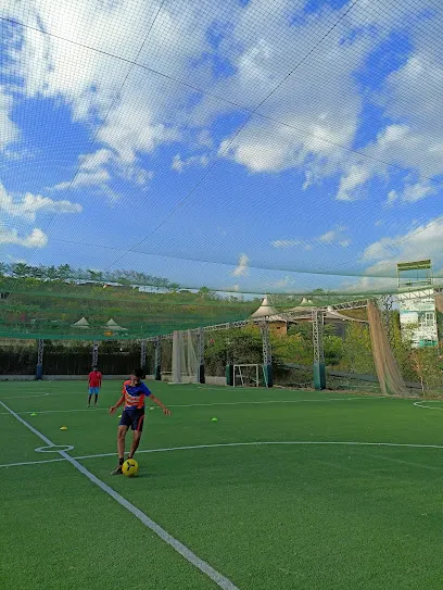 Sunny Sports Kingdom — Pickleball in Pashan