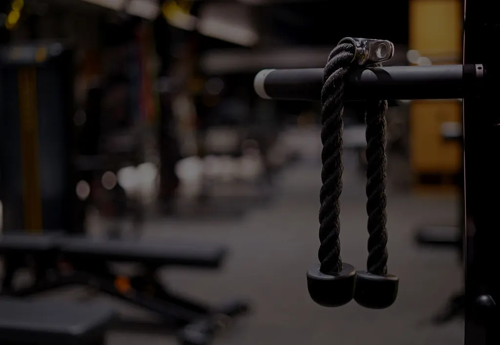 UR Fitness Personalised — Fitness Center in Sector 7