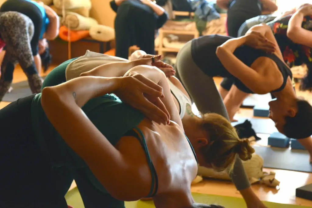 Vedoham Yoga Centre — Yoga in Shalimar