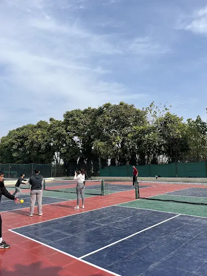 Pickleball Qube