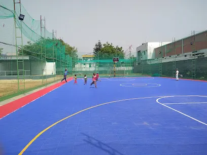 Haas Sports — Pickleball in Nagaram