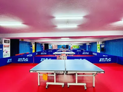 Ping Pong Arena — Pool and Table Games in Kukatpally