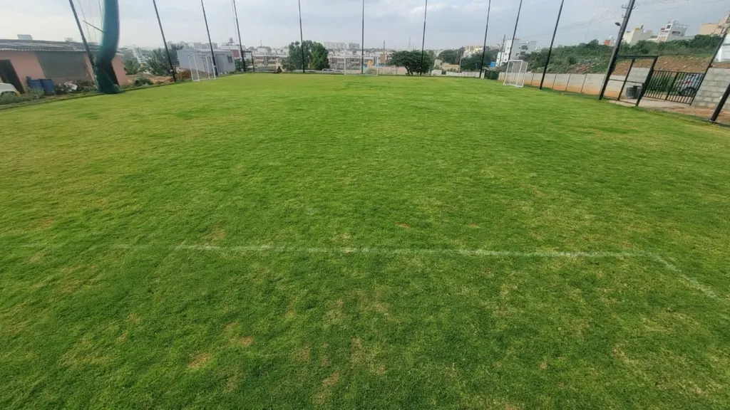 Joras Natural Grass — Cricket in Anjanapura Township
