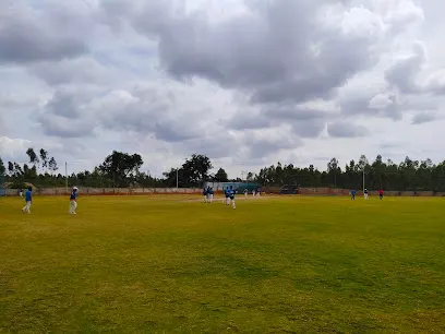 Hyper turf cricket ground — Cricket in Bettahalsoor