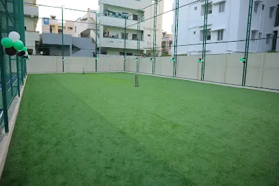DND Zone — Cricket in Satya Nagar