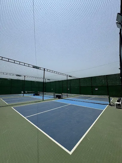 The Pickleball Planet