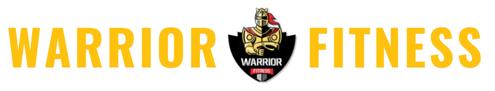 WARRIOR FITNESS GYM — CrossFit & Functional Training in Handewadi, Pune
