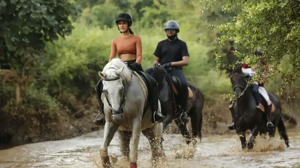 Duke Horse Riding Club Balola — Other Sports in Balola