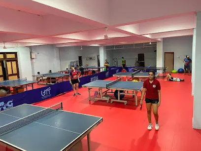 Boosters Academy - Table Tennis Coaching — Pool and Table Games in Thane West